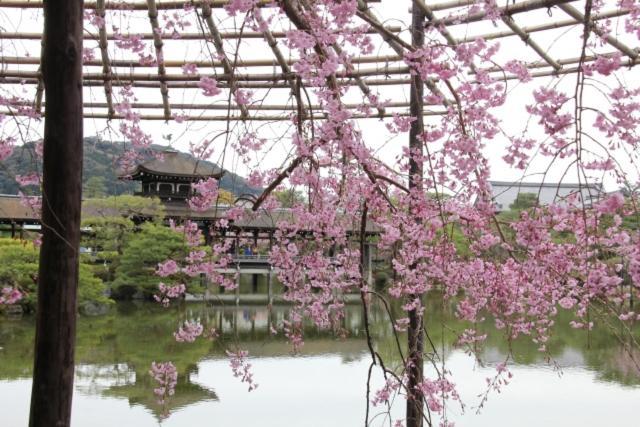 Rejoice Stay Kyoto Nijojo Minami Екстериор снимка